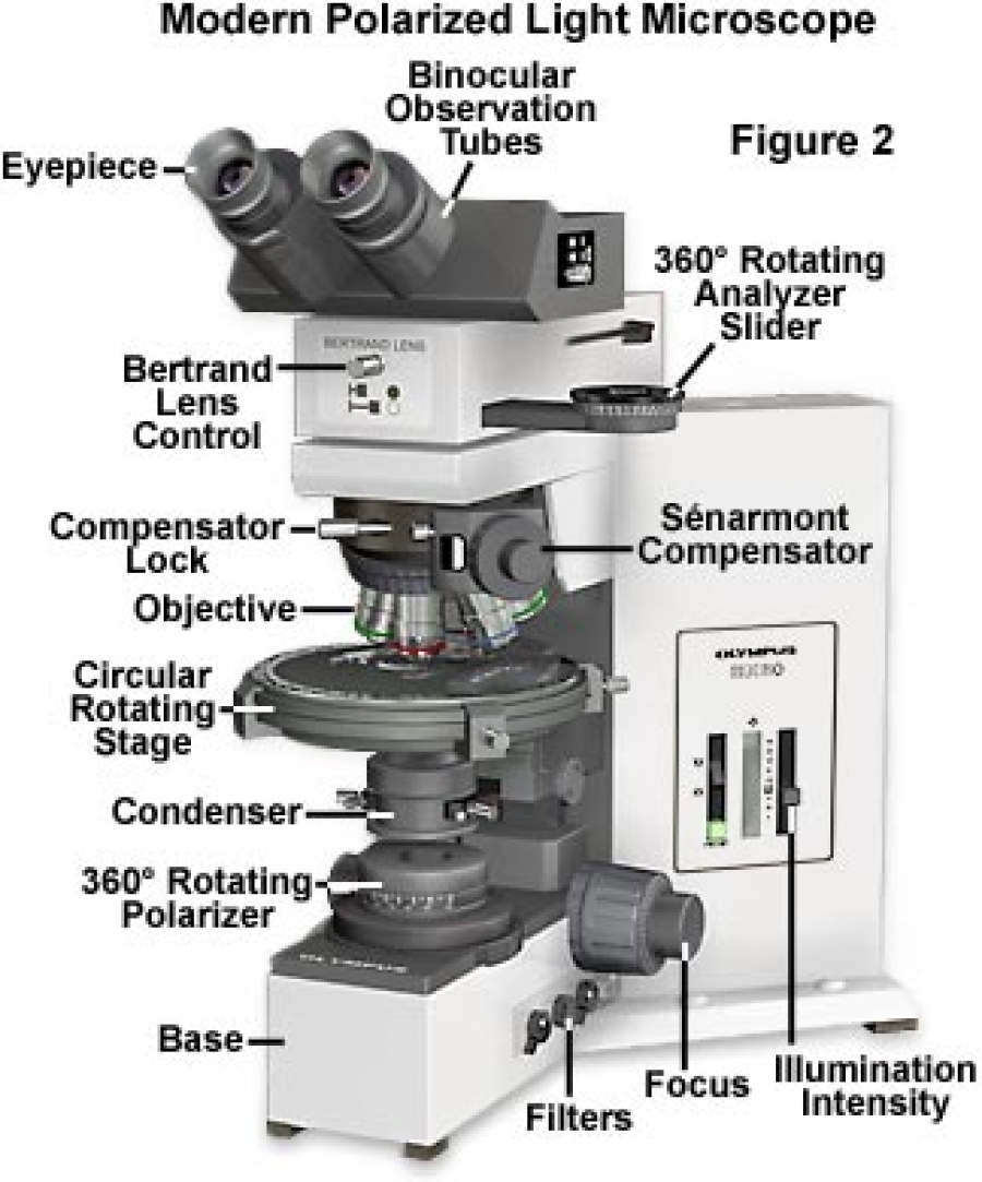 Polarized Microscope