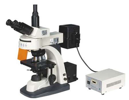 میکروسکوپ فلورسنت مدل MF606