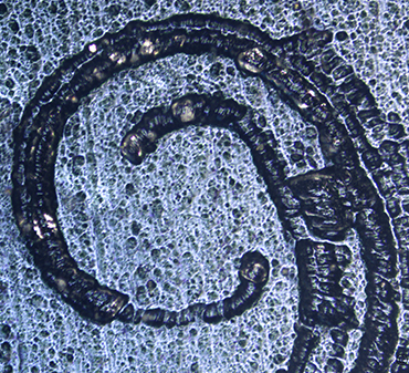 عکس نمونه زیر میکروسکوپ متالوژی