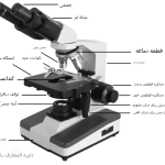 میکروسکوپ بیولوژی چیست | نحوه کار با میکروسکوپ | Biological Microscope